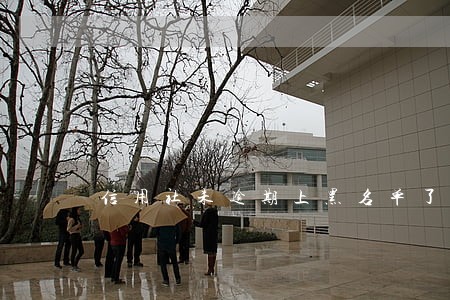 信用社未逾期上黑名单了 信用社未逾期上黑名单了