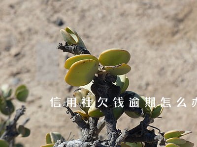 信用社欠钱逾期怎么办 信用社欠钱逾期怎么办