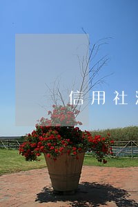 信用社沂蒙云贷逾期了 信用社沂蒙云贷逾期了