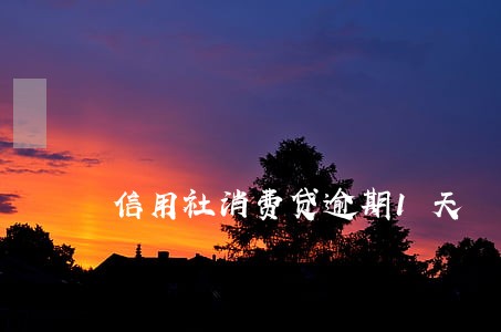 信用社消费贷逾期1天