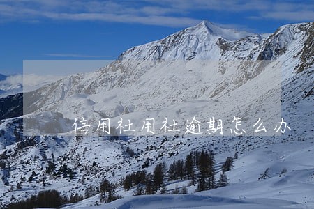 信用社用社逾期怎么办 信用社用社逾期怎么办