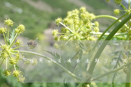 信用社百福贷逾期了2万怎么办 信用社百福贷逾期了2万怎么办