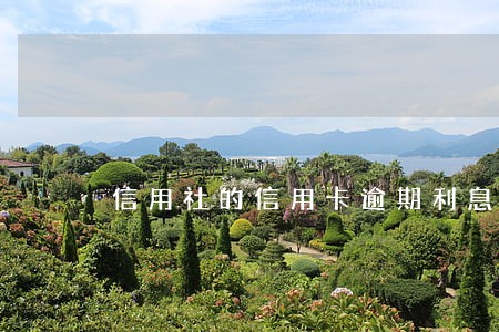 信用社的信用卡逾期利息计算 信用社的信用卡逾期利息计算