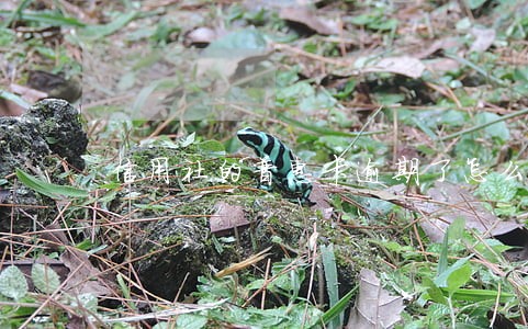 信用社的普惠卡逾期了怎么办 信用社的普惠卡逾期了怎么办