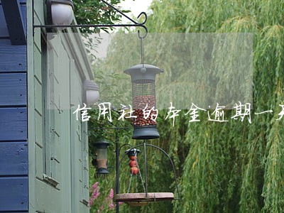 信用社的本金逾期一天 信用社的本金逾期一天