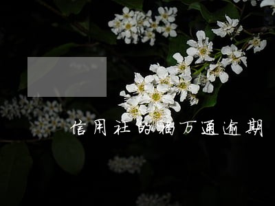 信用社的福万通逾期 信用社的福万通逾期