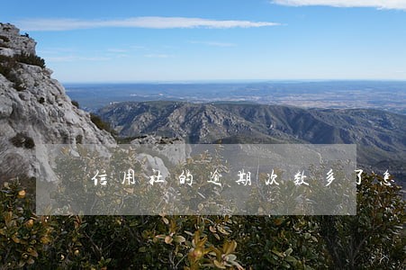 信用社的逾期次数多了怎么办 信用社的逾期次数多了怎么办
