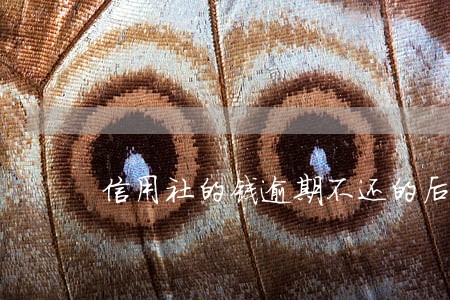 信用社的钱逾期不还的后果 信用社的钱逾期不还的后果