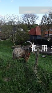 信用社累计逾期3次 信用社累计逾期3次