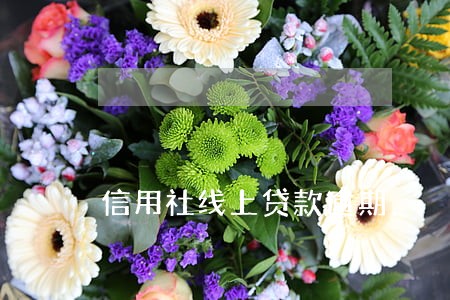 信用社线上贷款逾期 信用社线上贷款逾期