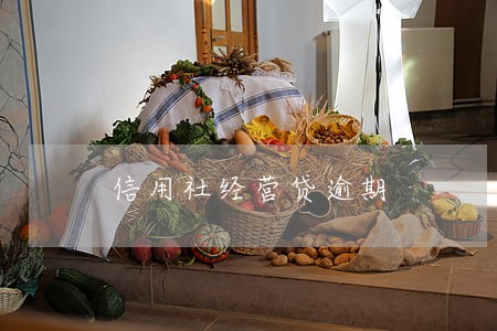 信用社经营贷逾期