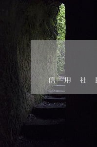 信用社联保逾期还款 信用社联保逾期还款
