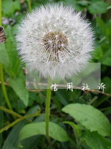 信用社诉讼期限是多少年