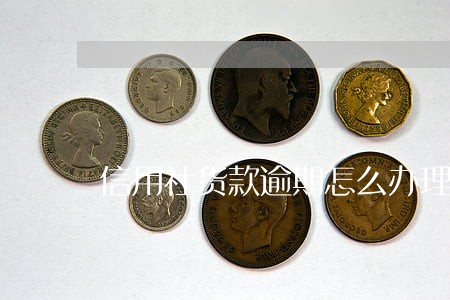 信用社货款逾期怎么办理 信用社货款逾期怎么办理