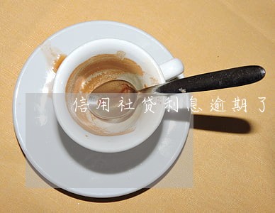 信用社贷利息逾期了怎么办