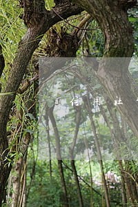 信用社贷款15万逾期