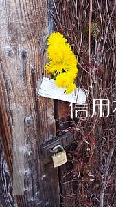 信用社贷款15万逾期半年 信用社贷款15万逾期半年