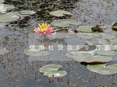 信用社贷款30万逾期