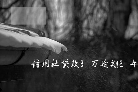 信用社贷款3万逾期2年怎还法 信用社贷款3万逾期2年怎还法