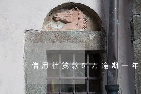 信用社贷款5万逾期一年 信用社贷款5万逾期一年