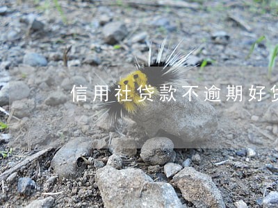 信用社贷款不逾期好贷款吗 信用社贷款不逾期好贷款吗