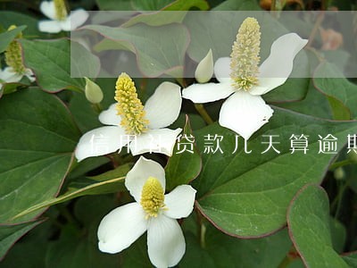 信用社贷款几天算逾期