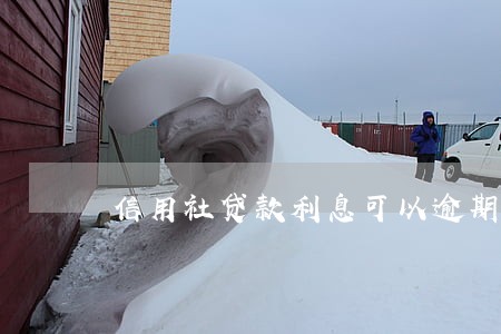 信用社贷款利息可以逾期几天 信用社贷款利息可以逾期几天
