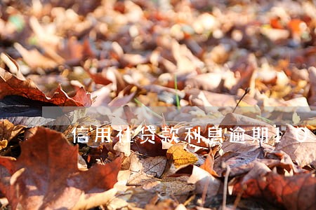 信用社贷款利息逾期10多天