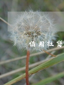 信用社贷款利息逾期两天 信用社贷款利息逾期两天