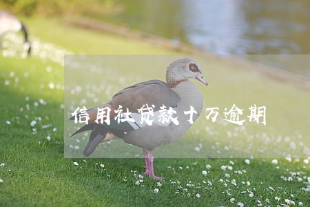 信用社贷款十万逾期 信用社贷款十万逾期