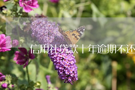 信用社贷款十年逾期不还 信用社贷款十年逾期不还
