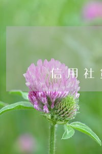 信用社贷款只还本金不还利息 信用社贷款只还本金不还利息