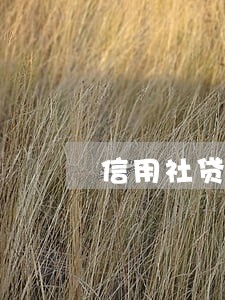 信用社贷款可以逾期多久 信用社贷款可以逾期多久