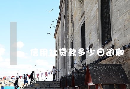 信用社贷款多少日逾期 信用社贷款多少日逾期