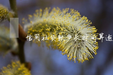 信用社贷款多长时间算逾期 信用社贷款多长时间算逾期