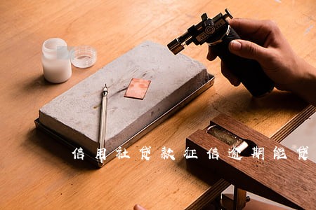 信用社贷款征信逾期能贷款吗 信用社贷款征信逾期能贷款吗