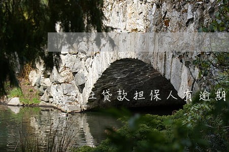 信用社贷款担保人有逾期 信用社贷款担保人有逾期