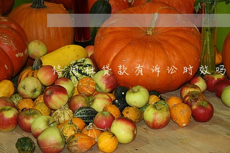 信用社贷款有诉讼时效吗