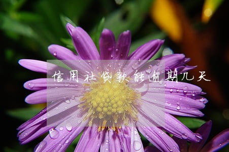 信用社贷款能逾期几天 信用社贷款能逾期几天