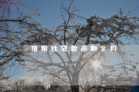 信用社贷款逾期2月 信用社贷款逾期2月