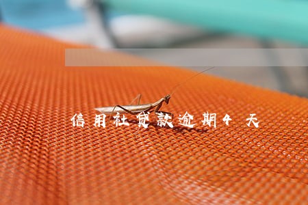 信用社贷款逾期4天 信用社贷款逾期4天