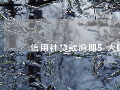信用社贷款逾期5天呢 信用社贷款逾期5天呢
