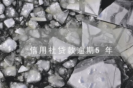 信用社贷款逾期5年 信用社贷款逾期5年