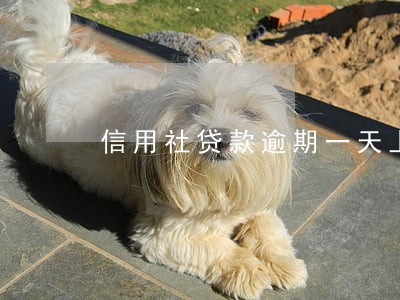 信用社贷款逾期一天上吗 信用社贷款逾期一天上吗
