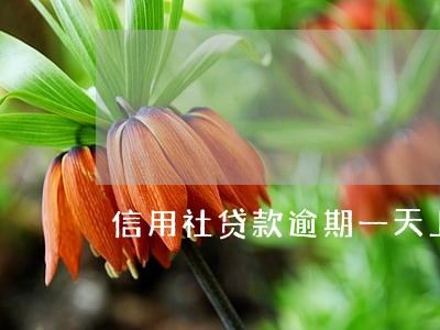 信用社贷款逾期一天上征信吗 信用社贷款逾期一天上征信吗