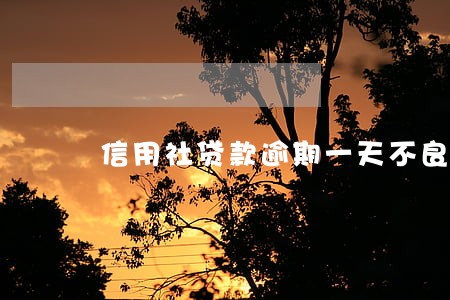 信用社贷款逾期一天不良记录 信用社贷款逾期一天不良记录