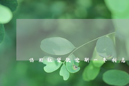 信用社贷款逾期一年利息 信用社贷款逾期一年利息
