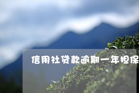 信用社贷款逾期一年担保人怎办 信用社贷款逾期一年担保人怎办