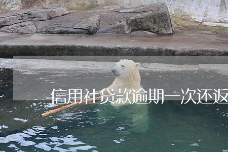 信用社贷款逾期一次还返息吗 信用社贷款逾期一次还返息吗