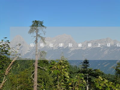信用社贷款逾期上征信了 信用社贷款逾期上征信了